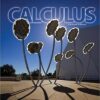 Calculus 11th Edition by Laurence Hoffmann