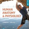 Human Anatomy & Physiology 2e 2nd Edition