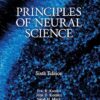 Principles of Neural Science 6th Edition
