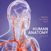 Human Anatomy 9th Edition by Frederic H. Martini
