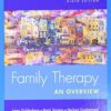 Family Therapy An Overview 9th Edition