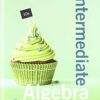 Intermediate Algebra For College Students 10th Edition by Allen R. Angel