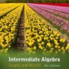 Intermediate Algebra Graphs and Models 4th Edition by Marvin L. Bittinger
