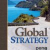 Global Strategy 3rd edition By Mike W. Peng