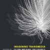 Imagining Transmedia
