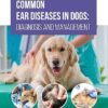 Common Ear Diseases in Dogs Diagnosis and Management