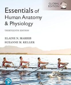 Essentials of Human Anatomy and Physiology Global Edition 13th Edition