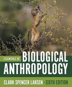 Essentials of Biological Anthropology 6th Edition