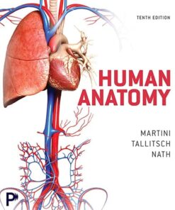 Human Anatomy 10th Edition by Frederic H. Martini