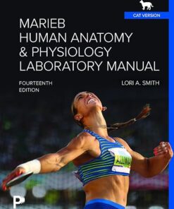 Marieb Human Anatomy & Physiology Laboratory Manual Cat Version 14th Edition